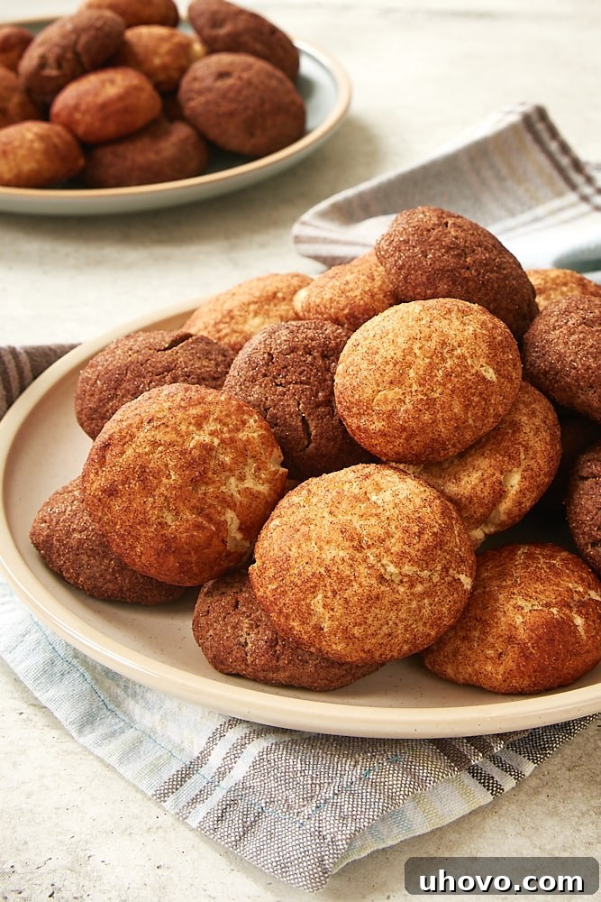 Freshly baked Snickerdoodles and Chocodoodles artfully arranged on a rustic beige plate, ready to be enjoyed.