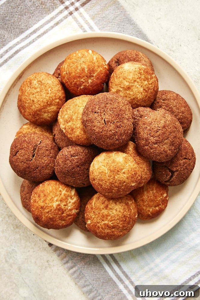 A generous serving of Snickerdoodles and Chocodoodles artfully arranged on a beige plate, perfect for sharing.