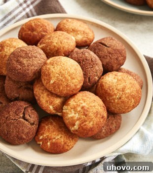 Snickerdoodles and Chocodoodles piled on a beige plate.