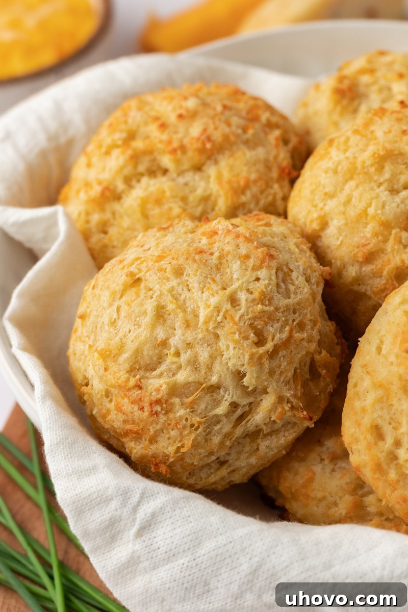 a bowl of freshly baked three cheese biscuits, lined with a rustic tea towel, ready for serving