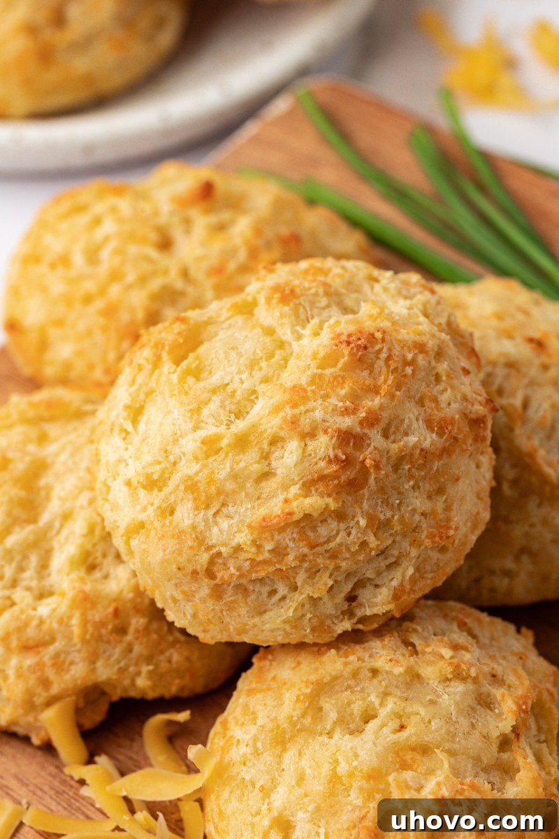 three cheese biscuits arranged neatly on a rustic wooden board, ready to be served
