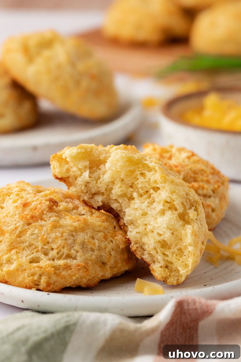 a perfectly split half of a three cheese biscuit on a plate, revealing its fluffy interior, with two whole biscuits in the background