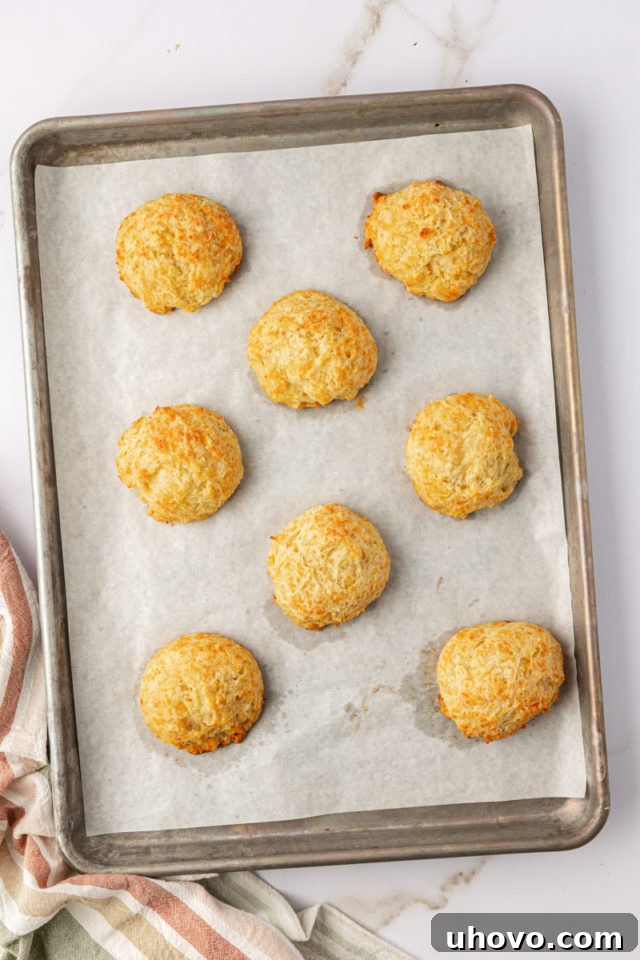 overhead view of freshly baked three cheese biscuits cooling on a baking sheet, golden-brown and perfectly risen