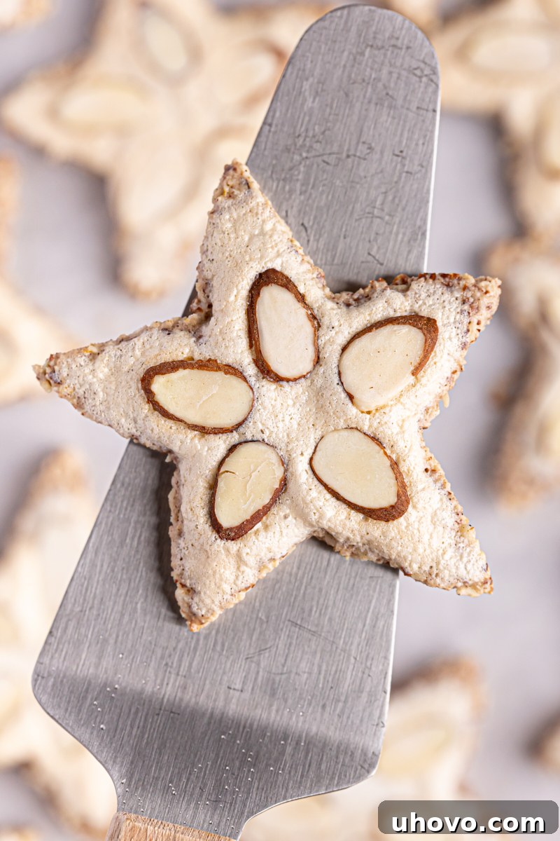 A freshly baked German Zimtsterne cookie resting on a spatula, showcasing its delicate structure