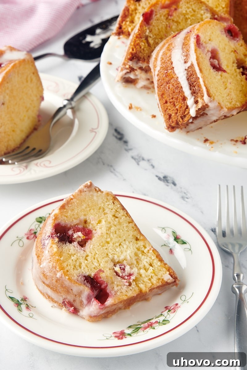 A single slice of Cranberry Bundt Cake artfully placed on a white plate, with more slices visible in the blurred background, creating an inviting scene.