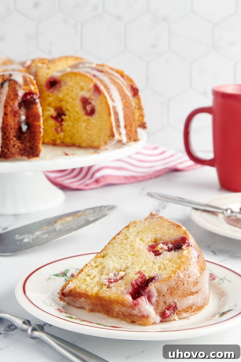 A detailed close-up shot of a single slice of Cranberry Bundt Cake on a white plate, with the rest of the cake blurred in the background, highlighting its texture and fruit.