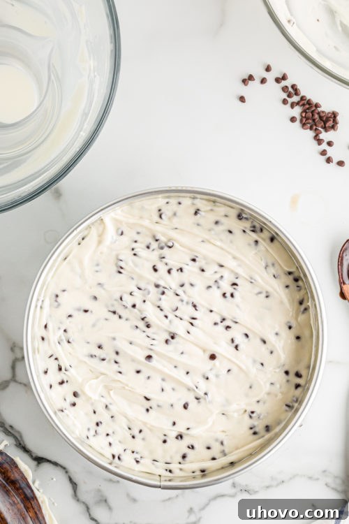 An overhead shot of the Chocolate Chip Cheesecake with Brownie Crust, perfectly smoothed in the springform pan and ready for chilling.