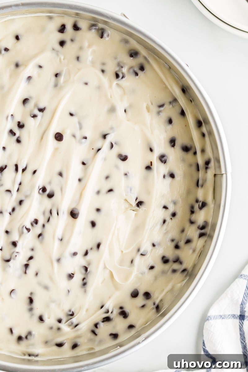 An inviting overhead shot of the full Chocolate Chip Cheesecake in its springform pan, ready to be chilled and set.