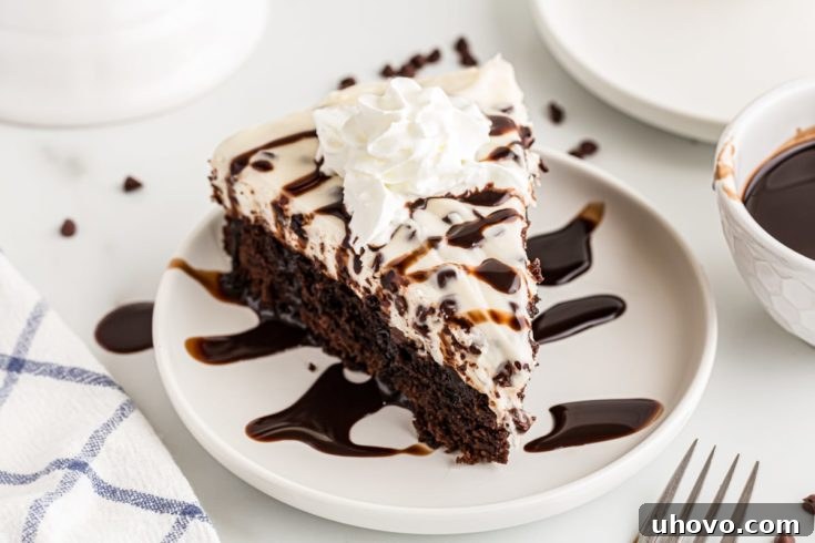 Slice of Chocolate Chip Cheesecake with Brownie Crust on plate with chocolate sauce