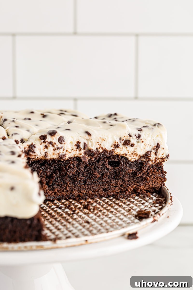 Close-up side view of a perfectly layered Chocolate Chip Cheesecake with a rich brownie crust, presented on a white cake stand, showcasing its inviting texture.