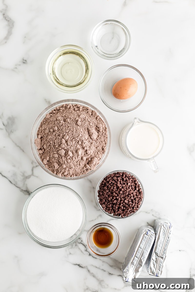 Overhead flat lay of all necessary ingredients for Chocolate Chip Cheesecake with Brownie Crust, neatly arranged on a white surface.