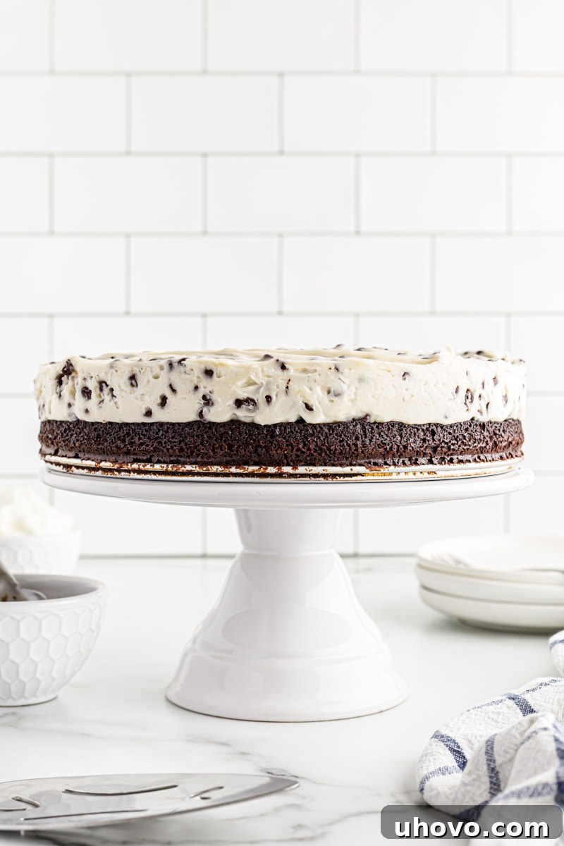 A glorious whole Chocolate Chip Cheesecake with Brownie Crust, resting on a sophisticated white cake stand, highlighting its rich layers and inviting golden-brown top.