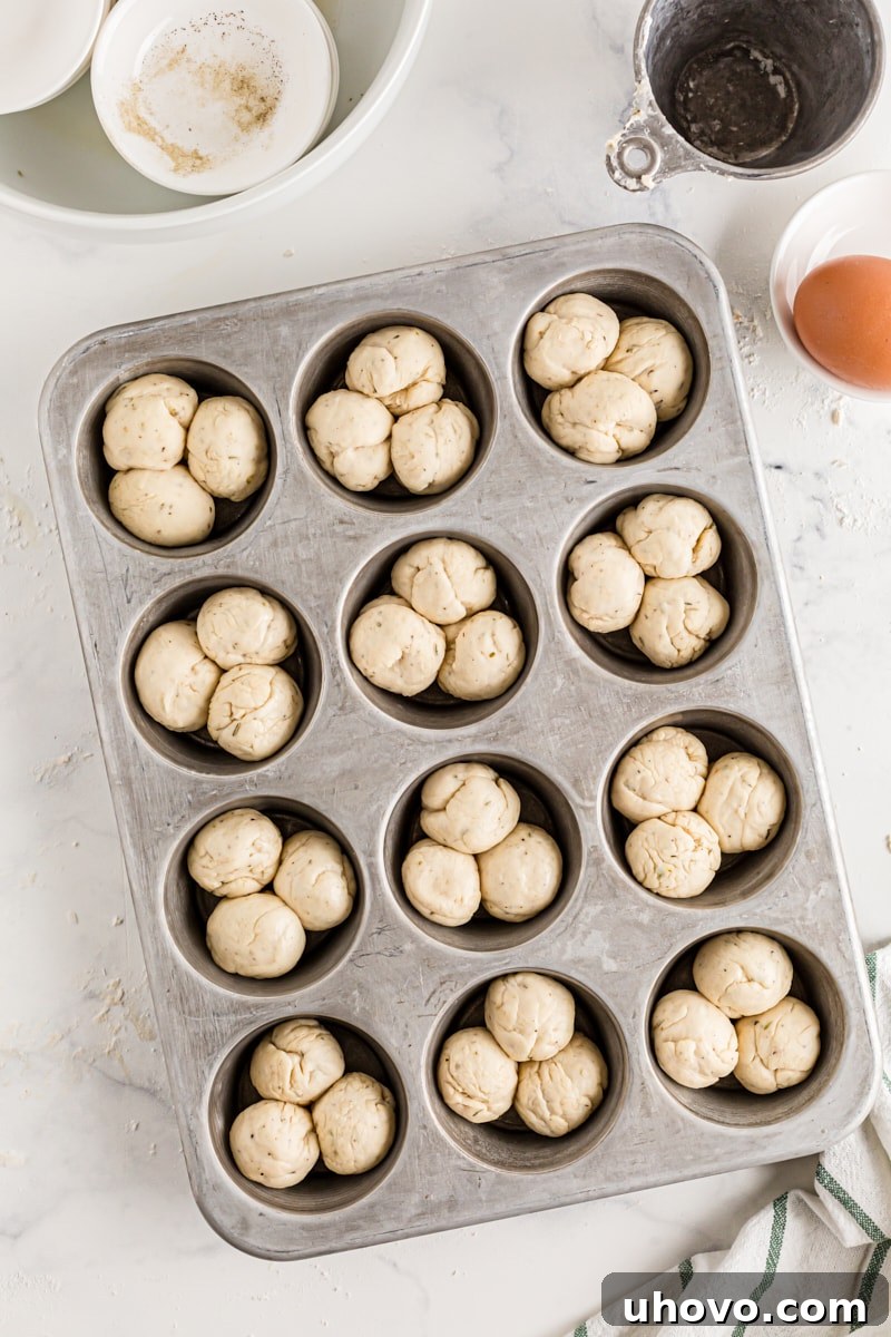 Three small dough balls carefully arranged in each cup of a muffin tin, forming the cloverleaf shape.