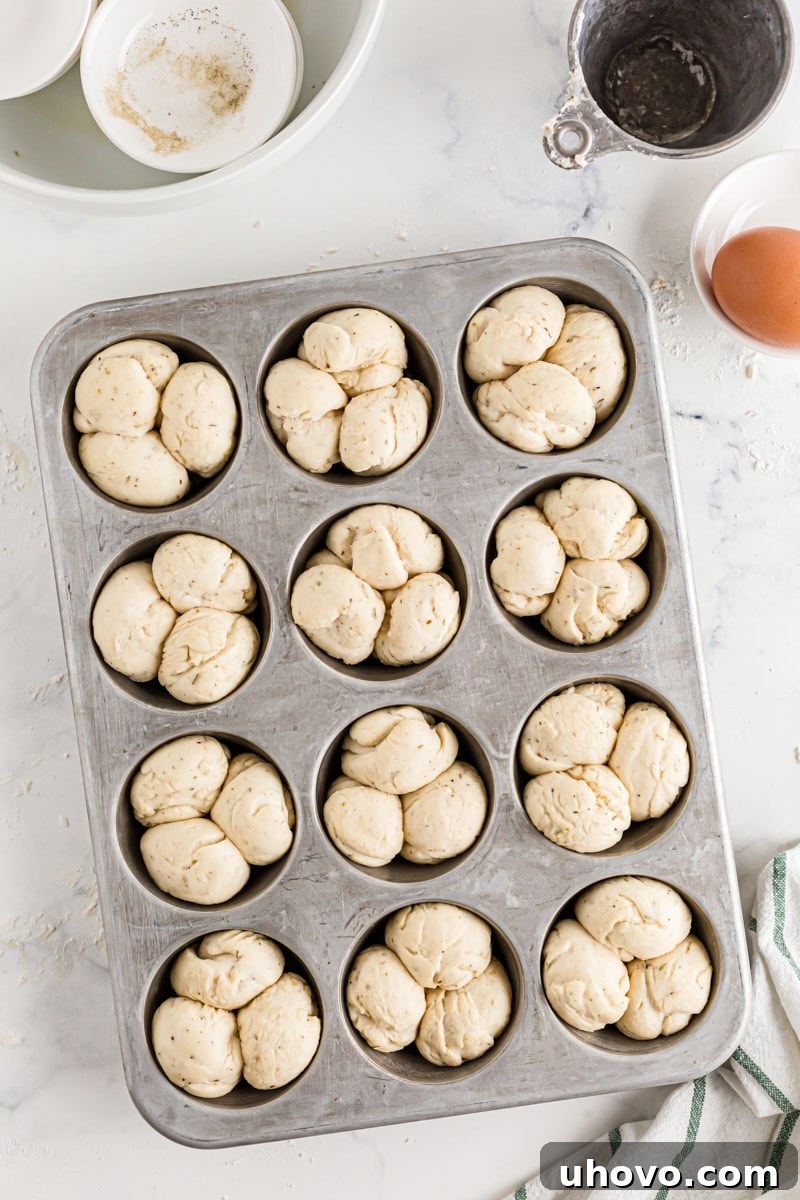 The shaped dough for Herb Cloverleaf Rolls in muffin tins, visibly risen and ready to be brushed with egg wash before baking.