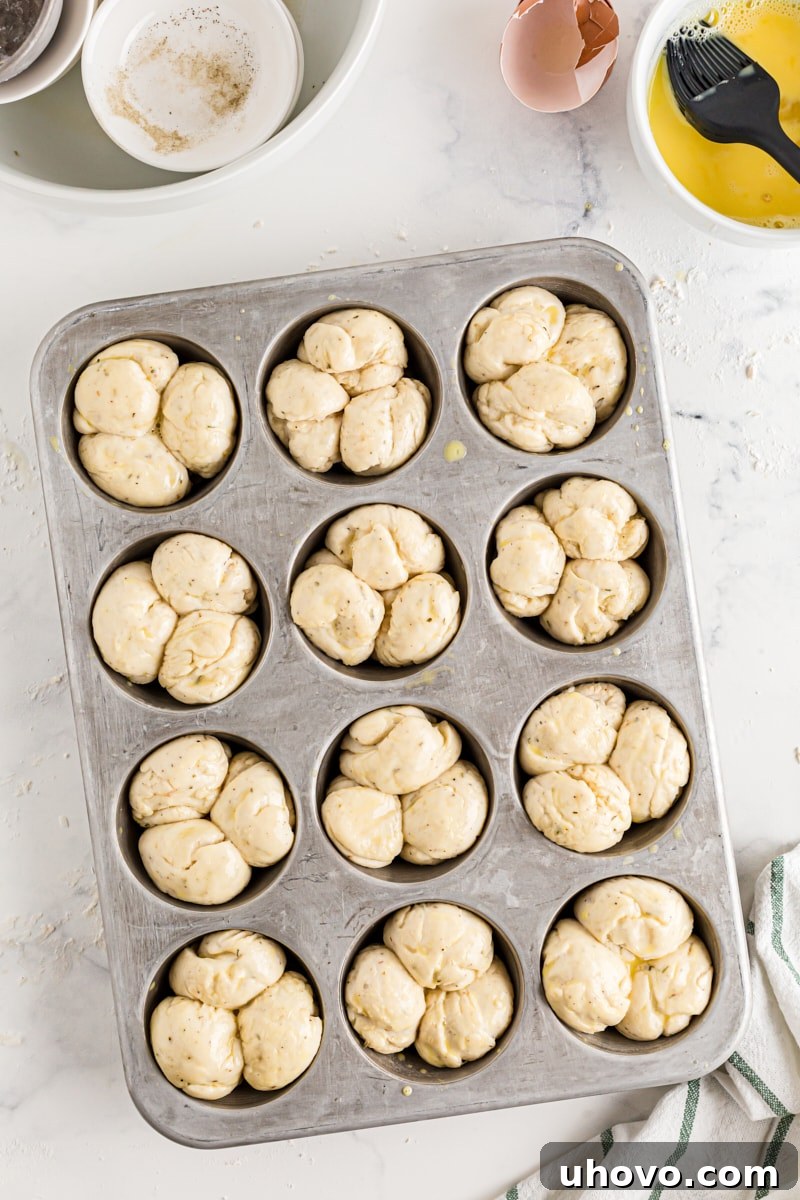 Rows of Herb Cloverleaf Rolls in muffin tins, beautifully coated with egg wash and ready to be placed in the oven.