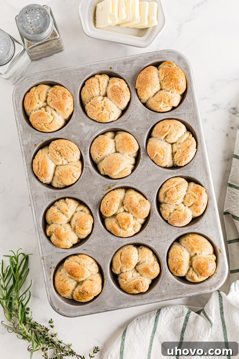 A pan of Herb Cloverleaf Rolls, fresh out of the oven, their golden-brown tops gleaming invitingly.