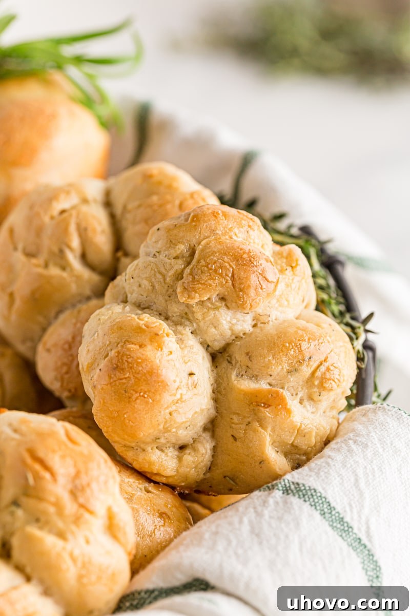 A charming basket overflowing with golden-brown Herb Cloverleaf Rolls, accented with a fresh sprig of rosemary.