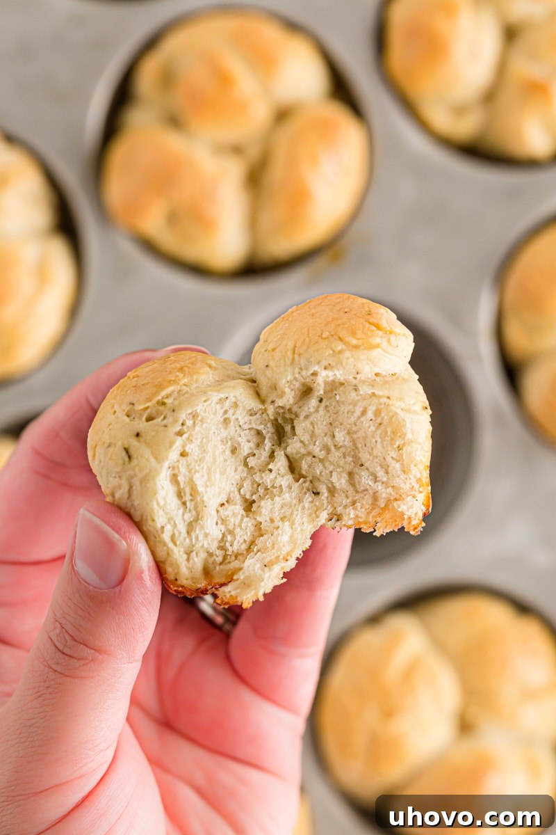 A hand holds a single Herb Cloverleaf Roll towards the camera, with one of its fluffy sections gently pulled apart to reveal the soft, airy interior.