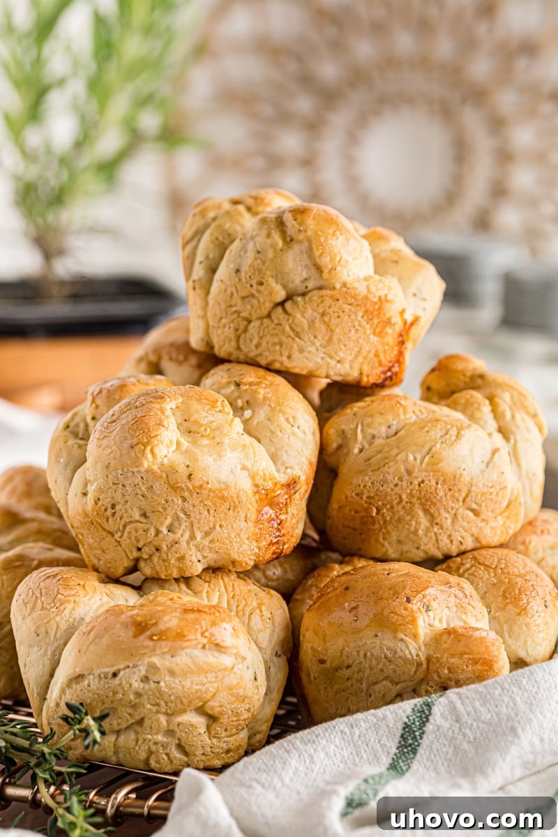 A generous pile of freshly baked Herb Cloverleaf Rolls, showcasing their appealing golden color and herbaceous flecks.
