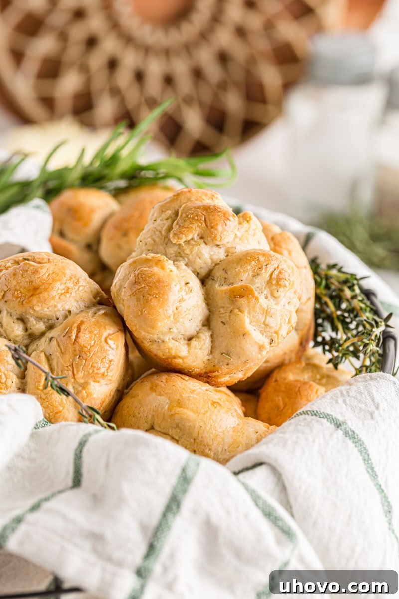 A rustic basket filled to the brim with beautifully shaped cloverleaf dinner rolls, their surfaces glistening and flecked with herbs.