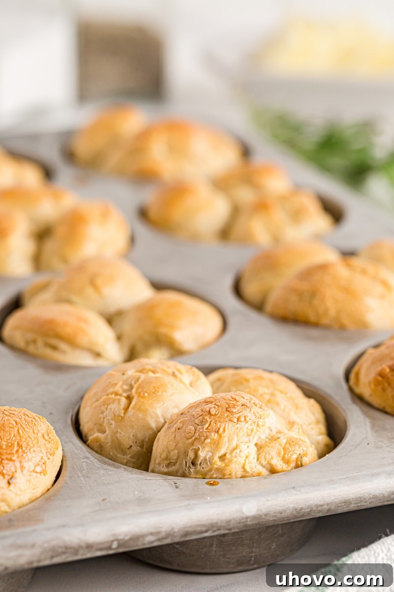 A side-view of a muffin pan filled with perfectly fresh-baked cloverleaf dinner rolls, their golden tops slightly domed.