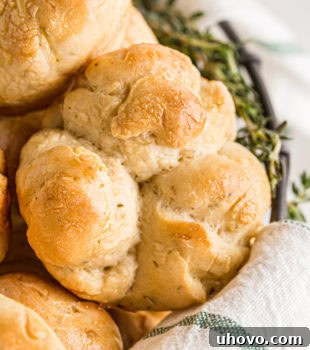 A close-up of a cloverleaf dinner roll in a basket with other rolls, highlighting its texture and shape.