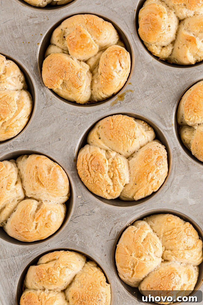 Freshly baked Herb Cloverleaf Rolls still in their muffin tin, just out of the oven, looking golden and inviting.