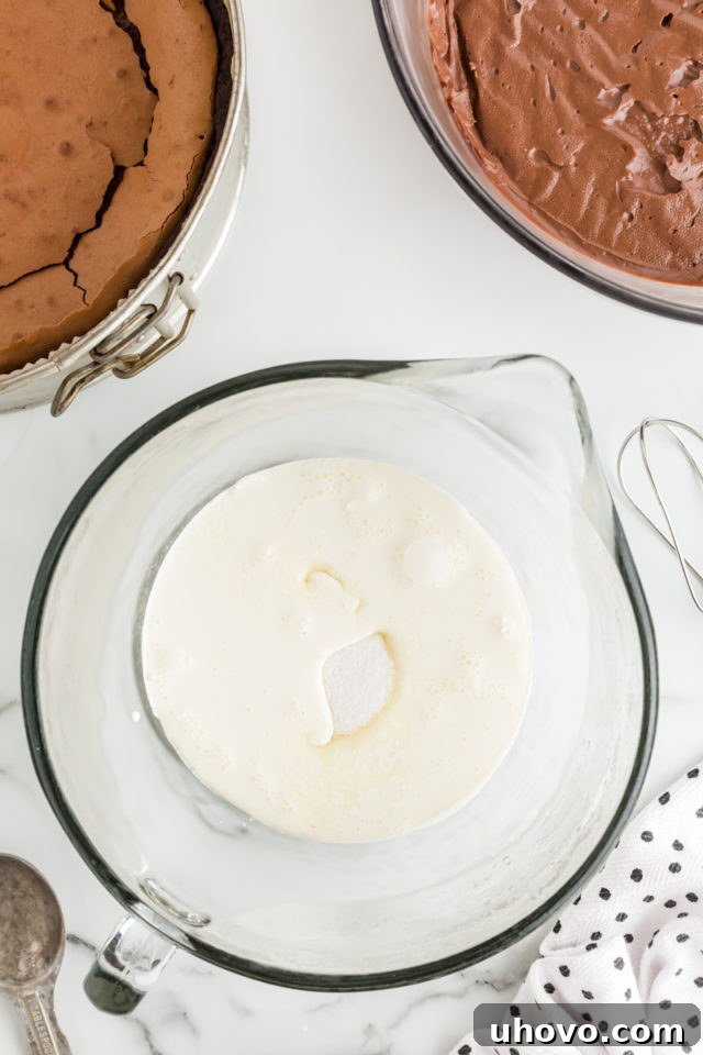 Overhead view of whipped cream ingredients in bowl