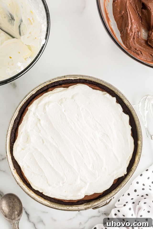 Overhead view of Mississippi Mud Pie in springform pan