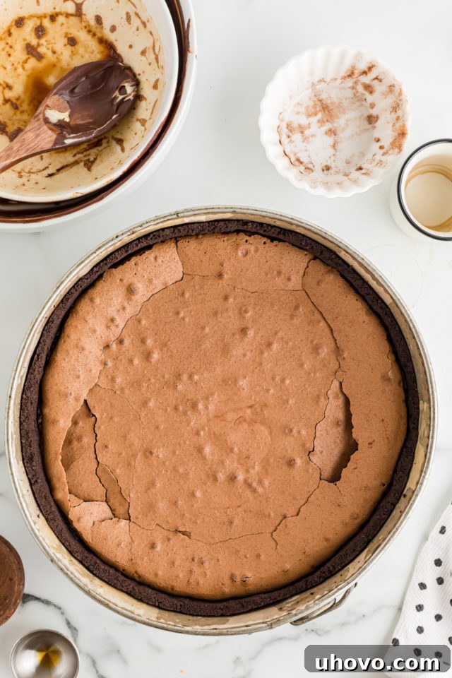 Overhead view of flourless cake layer in pan