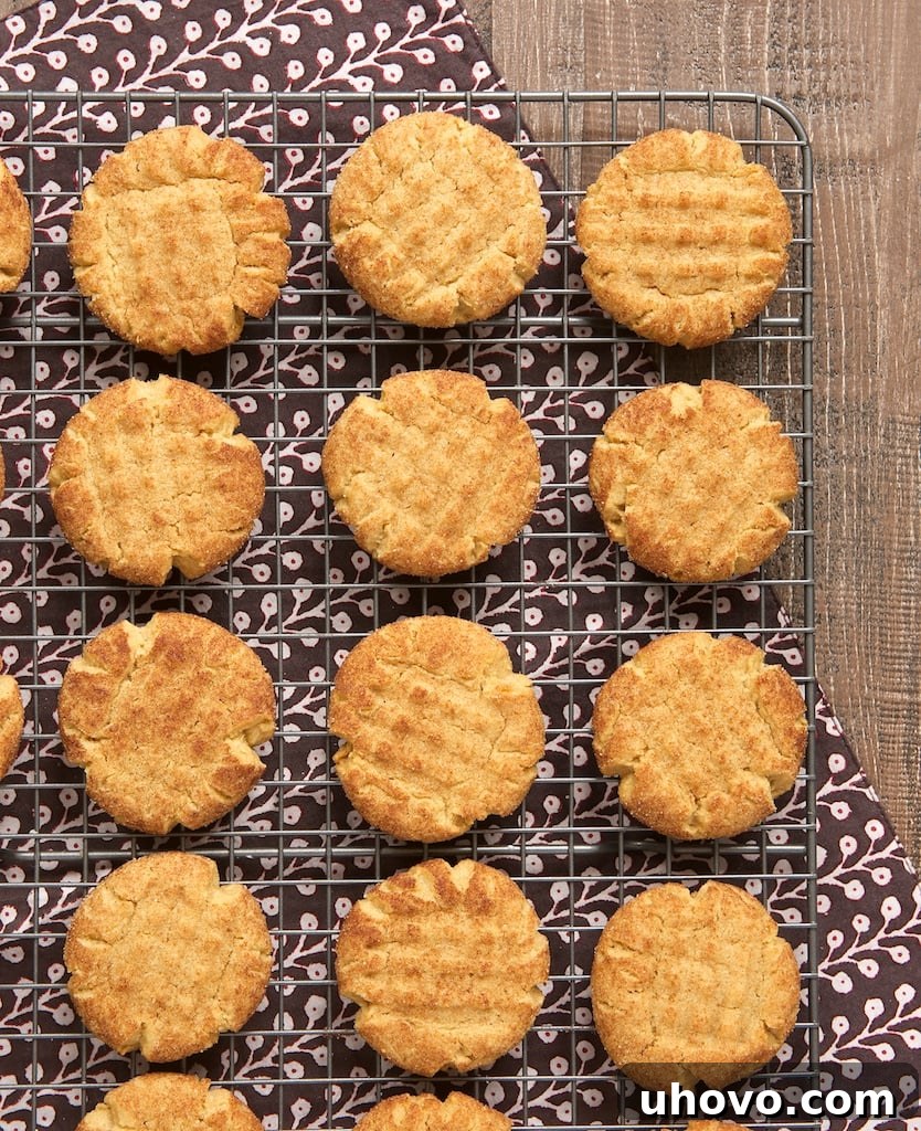 Irresistibly chewy Peanut Butter Snickerdoodles, a perfect blend of nutty and cinnamon flavors, ideal for holiday cookie swaps and gifting.
