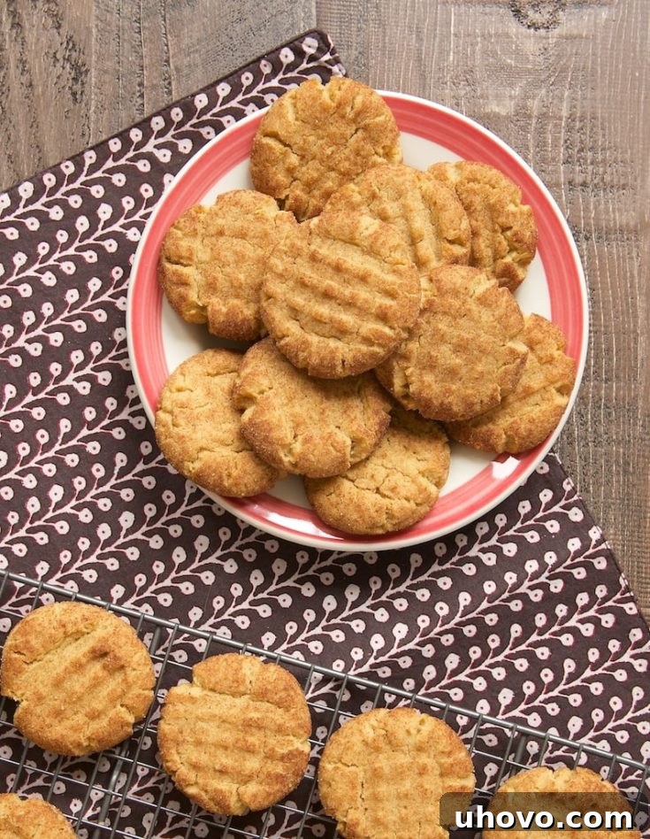 Soft and chewy Peanut Butter Snickerdoodle cookies, rolled in cinnamon sugar, ready to be enjoyed.
