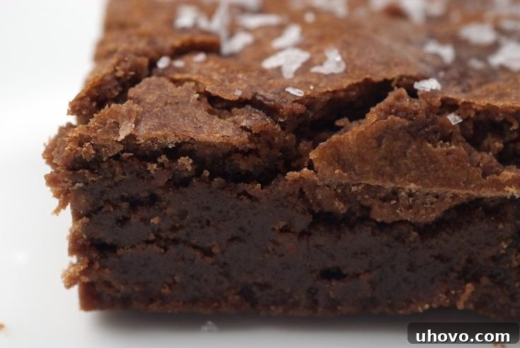 Rich, dark Salted Fudge Brownies with flaky sea salt.