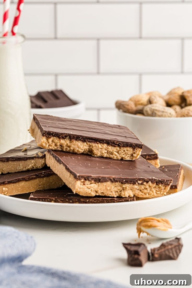 No-Bake Peanut Butter Chocolate Bars with a thick chocolate layer.