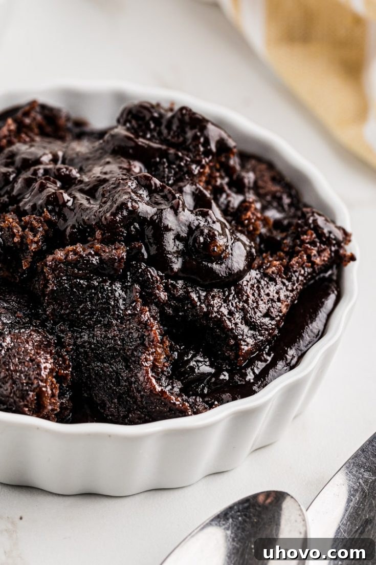 Chocolate Cobbler with a rich chocolate cake and sauce.