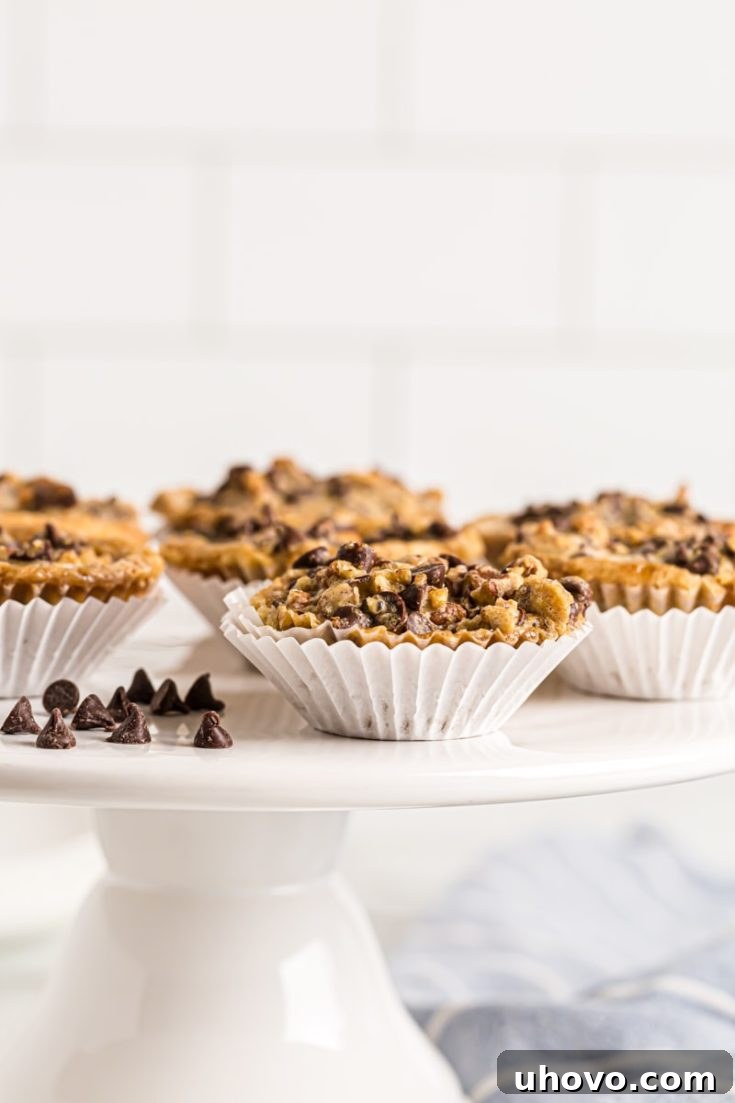 Mini Chocolate Chip Cupcakes with a hint of frosting.