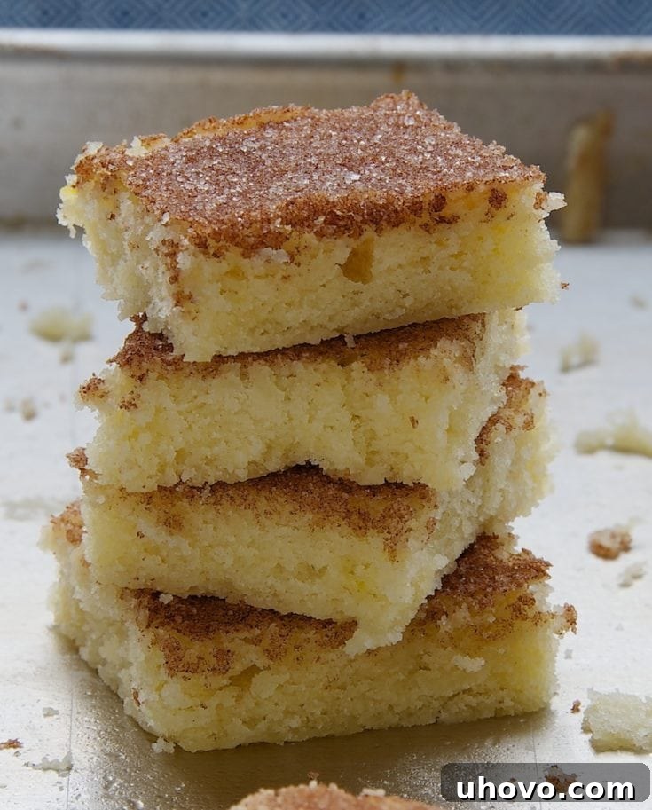 Cinnamon Sugar Cookie Squares cut into neat pieces.