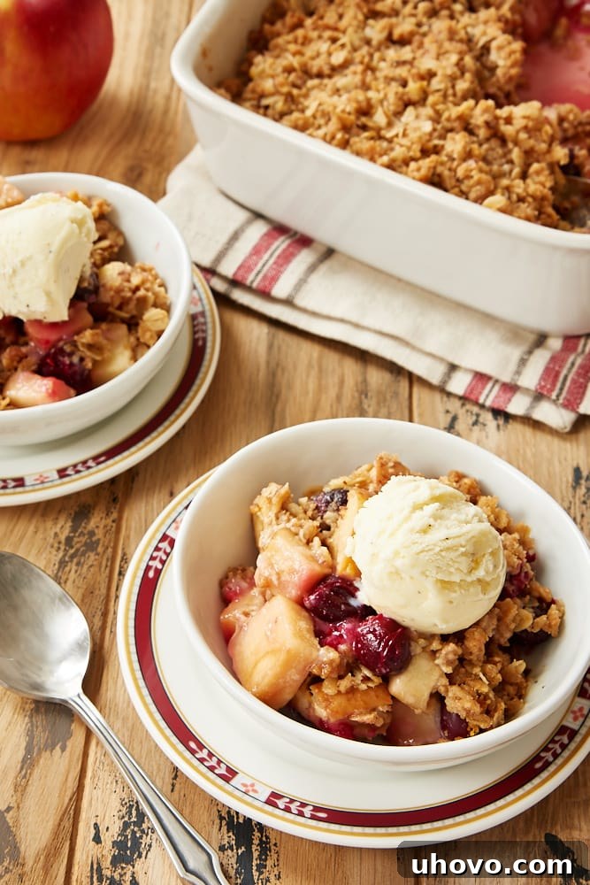 Warm Cranberry Apple Crumble topped with a scoop of ice cream.