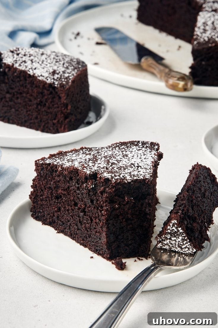 Simple yet delicious Cocoa Cake slice.