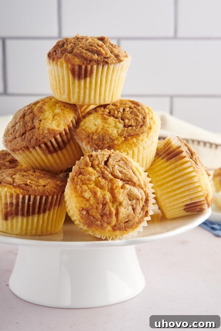 Biscoff Cupcakes with a swirl of cookie butter frosting.