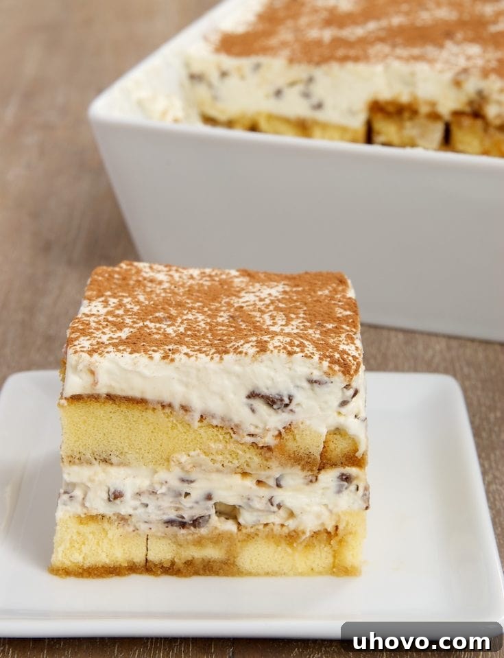 Chocolate Chip Tiramisu layered with pound cake and chocolate chips.