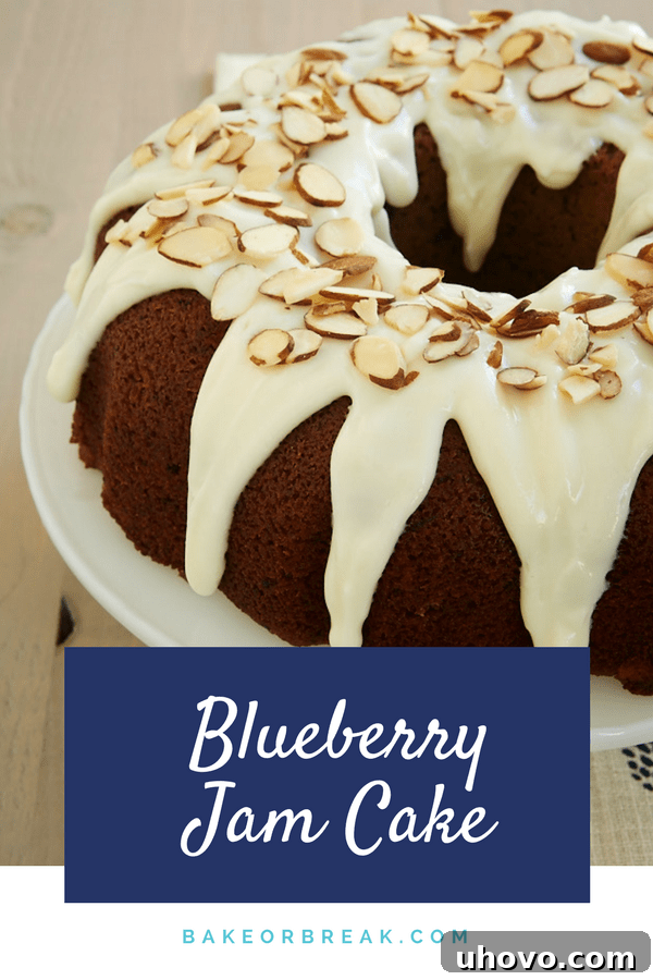 Blueberry Jam Cake bakeorbreak.com