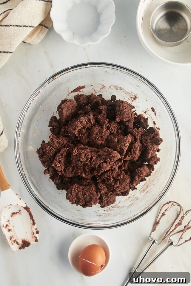 Overhead view of chocolate chocolate chip cookie dough in bowl