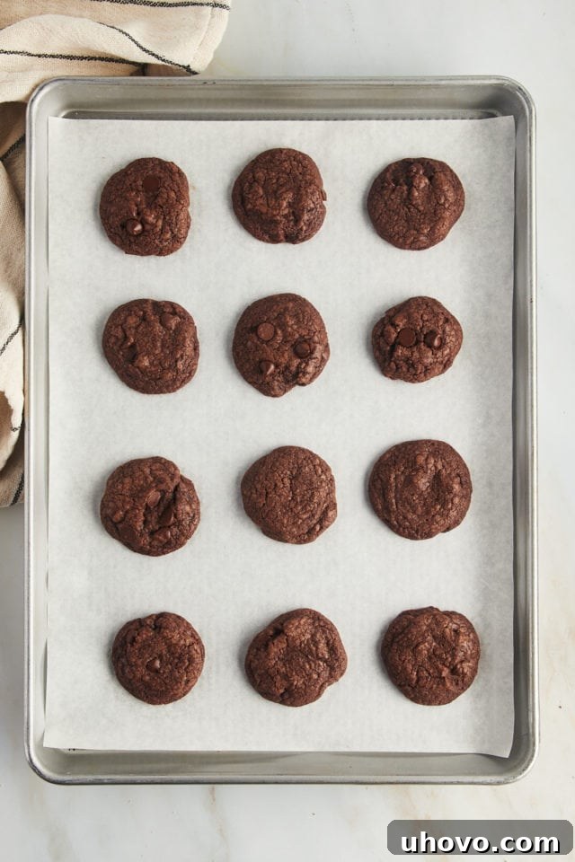 Overhead view of baked chocolate chocolate chip cookies on parchment-lined baking sheet