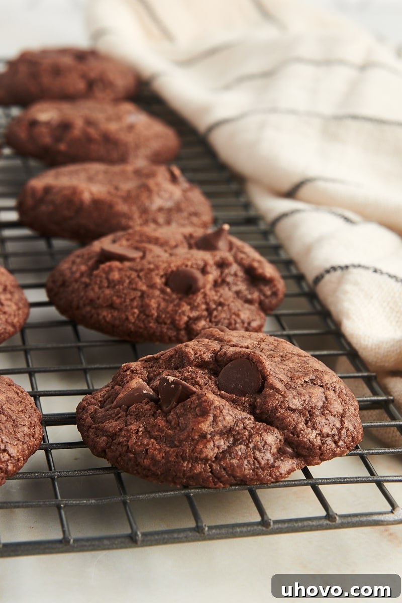 Chocolate chocolate chip cookies cooling on wire rack