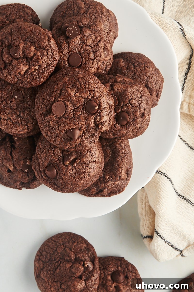 Overhead view of chocolate chocolate chip cookies on cake stand and countertop