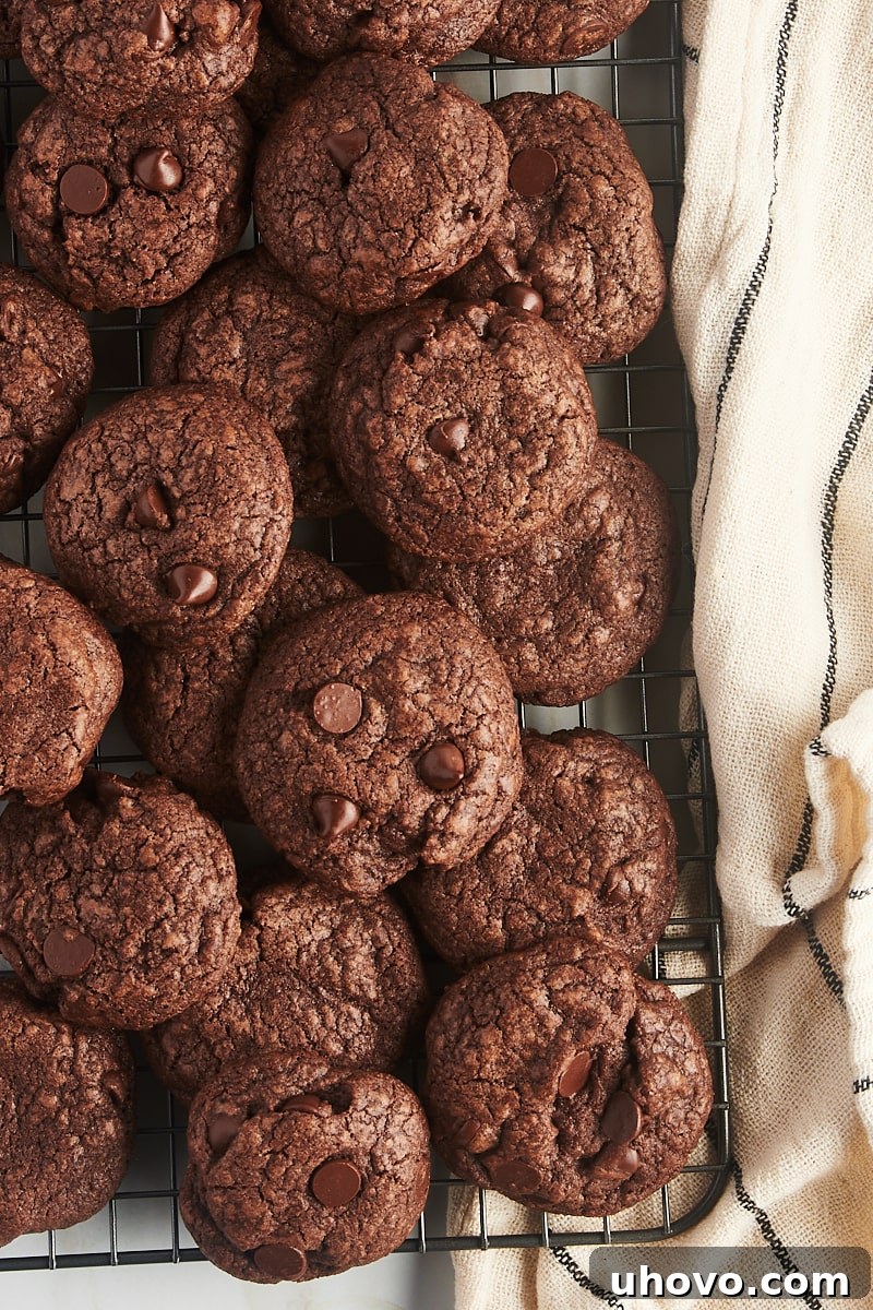 Overhead view of chocolate chocolate chip cookies on wire rack