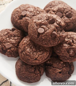 Overhead view of chocolate chocolate chip cookies on cake stand
