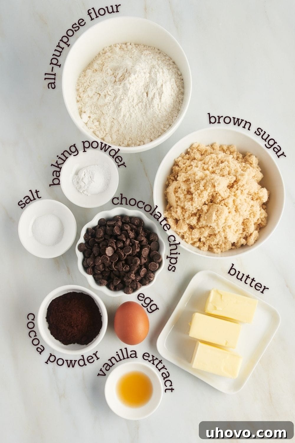 Overhead view of ingredients for chocolate chocolate chip cookies