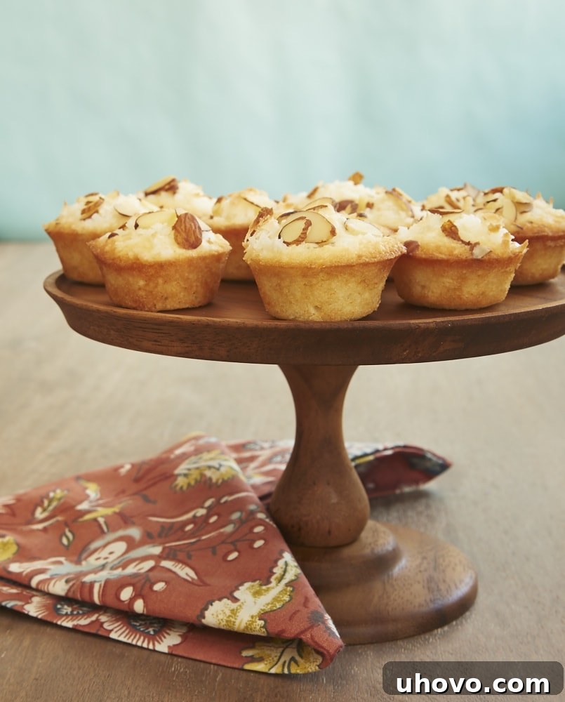These Mini Coconut Cakes are absolutely delightful. They're perfectly sweet, delicate, and feature a lovely toasted coconut and almond topping. - Bake or Break